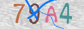 CAPTCHA (Şahıs Denetim Kodu) Resmi