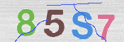 CAPTCHA (Şahıs Denetim Kodu) Resmi