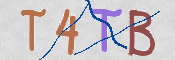 CAPTCHA (Şahıs Denetim Kodu) Resmi