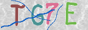 CAPTCHA (Şahıs Denetim Kodu) Resmi