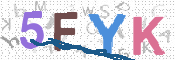 CAPTCHA (Şahıs Denetim Kodu) Resmi