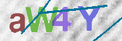 CAPTCHA (Şahıs Denetim Kodu) Resmi