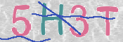 CAPTCHA (Şahıs Denetim Kodu) Resmi