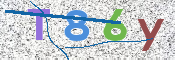 CAPTCHA (Şahıs Denetim Kodu) Resmi