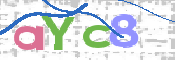 CAPTCHA (Şahıs Denetim Kodu) Resmi