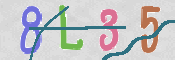 CAPTCHA (Şahıs Denetim Kodu) Resmi