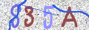 CAPTCHA (Şahıs Denetim Kodu) Resmi
