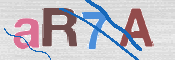 CAPTCHA (Şahıs Denetim Kodu) Resmi