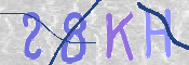 CAPTCHA (Şahıs Denetim Kodu) Resmi