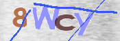 CAPTCHA (Şahıs Denetim Kodu) Resmi