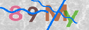 CAPTCHA (Şahıs Denetim Kodu) Resmi