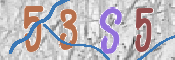 CAPTCHA (Şahıs Denetim Kodu) Resmi