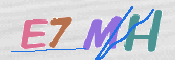 CAPTCHA (Şahıs Denetim Kodu) Resmi