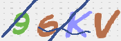 CAPTCHA (Şahıs Denetim Kodu) Resmi