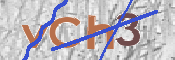 CAPTCHA (Şahıs Denetim Kodu) Resmi