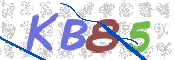 CAPTCHA (Şahıs Denetim Kodu) Resmi