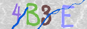 CAPTCHA (Şahıs Denetim Kodu) Resmi