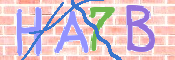 CAPTCHA (Şahıs Denetim Kodu) Resmi