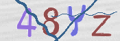 CAPTCHA (Şahıs Denetim Kodu) Resmi