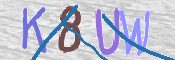 CAPTCHA (Şahıs Denetim Kodu) Resmi