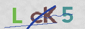 CAPTCHA (Şahıs Denetim Kodu) Resmi