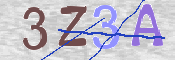 CAPTCHA (Şahıs Denetim Kodu) Resmi