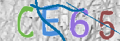 CAPTCHA (Şahıs Denetim Kodu) Resmi
