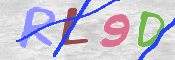CAPTCHA (Şahıs Denetim Kodu) Resmi