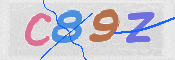CAPTCHA (Şahıs Denetim Kodu) Resmi