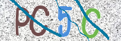 CAPTCHA (Şahıs Denetim Kodu) Resmi