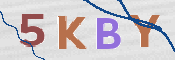 CAPTCHA (Şahıs Denetim Kodu) Resmi