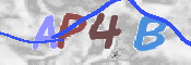 CAPTCHA (Şahıs Denetim Kodu) Resmi