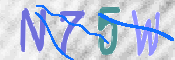 CAPTCHA (Şahıs Denetim Kodu) Resmi