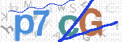 CAPTCHA (Şahıs Denetim Kodu) Resmi
