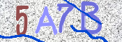 CAPTCHA (Şahıs Denetim Kodu) Resmi