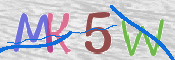 CAPTCHA (Şahıs Denetim Kodu) Resmi