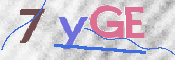 CAPTCHA (Şahıs Denetim Kodu) Resmi
