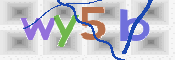 CAPTCHA (Şahıs Denetim Kodu) Resmi