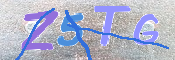 CAPTCHA (Şahıs Denetim Kodu) Resmi