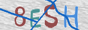 CAPTCHA (Şahıs Denetim Kodu) Resmi