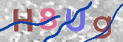 CAPTCHA (Şahıs Denetim Kodu) Resmi