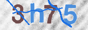 CAPTCHA (Şahıs Denetim Kodu) Resmi