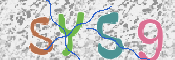 CAPTCHA (Şahıs Denetim Kodu) Resmi