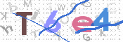 CAPTCHA (Şahıs Denetim Kodu) Resmi