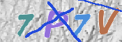 CAPTCHA (Şahıs Denetim Kodu) Resmi