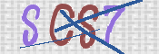 CAPTCHA (Şahıs Denetim Kodu) Resmi