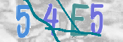 CAPTCHA (Şahıs Denetim Kodu) Resmi