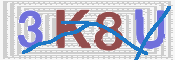 CAPTCHA (Şahıs Denetim Kodu) Resmi