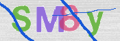 CAPTCHA (Şahıs Denetim Kodu) Resmi