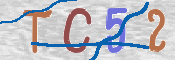 CAPTCHA (Şahıs Denetim Kodu) Resmi
